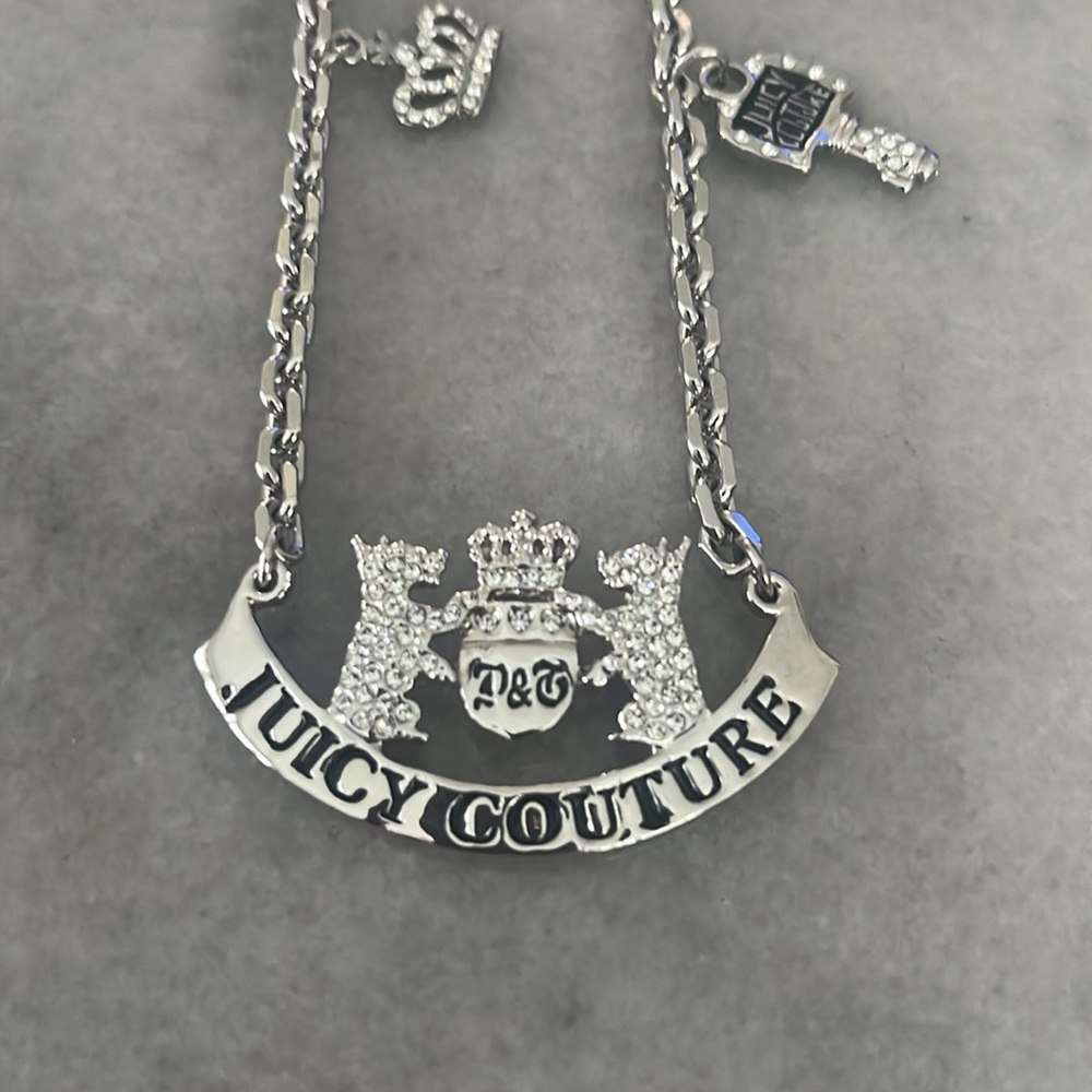 Silver Juicy Couture. Never used.